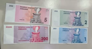 Zimbabwe Gold